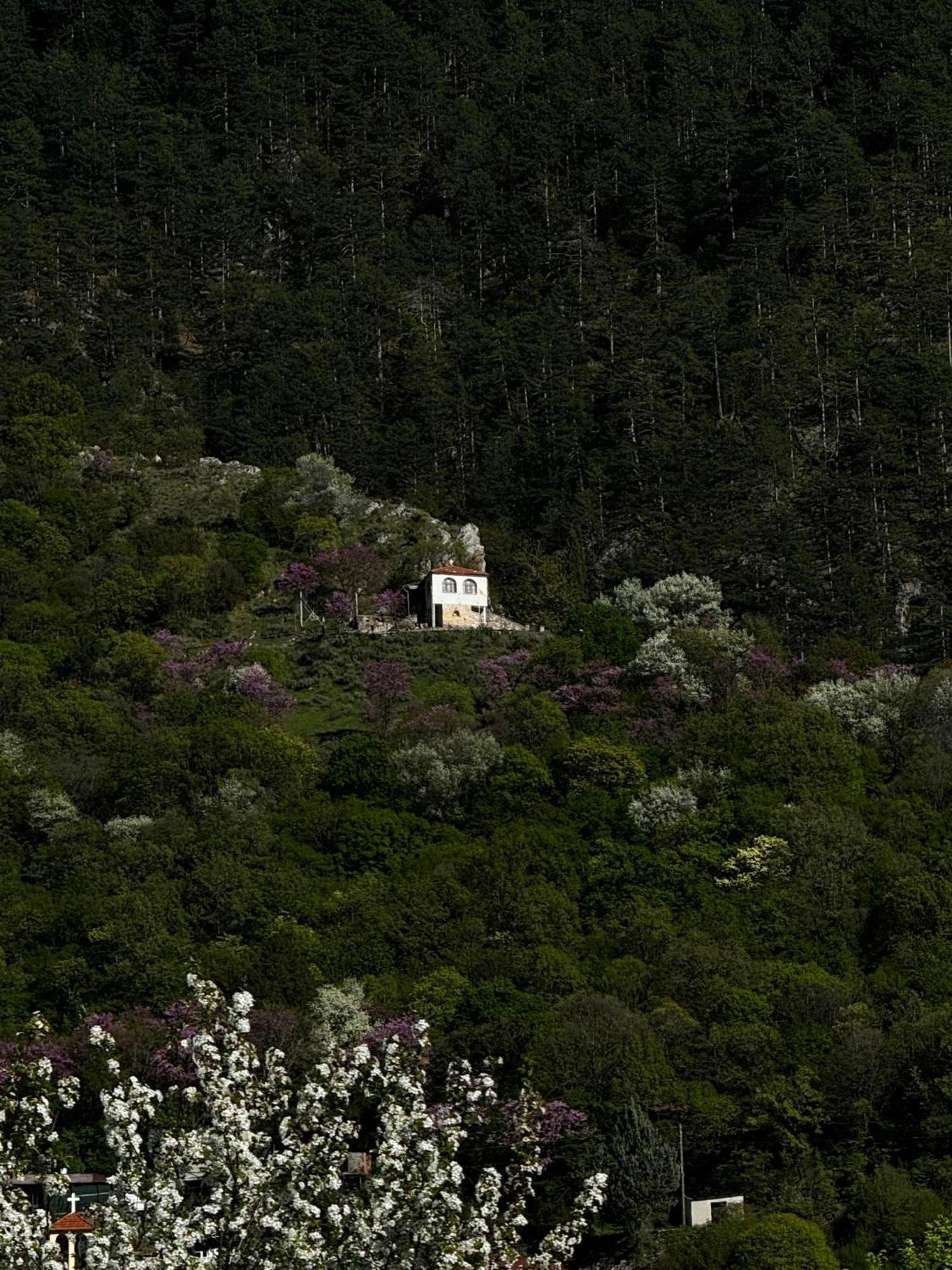 Mountain Serenity Konitsa Exteriér fotografie